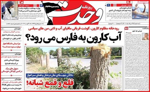 وحدت