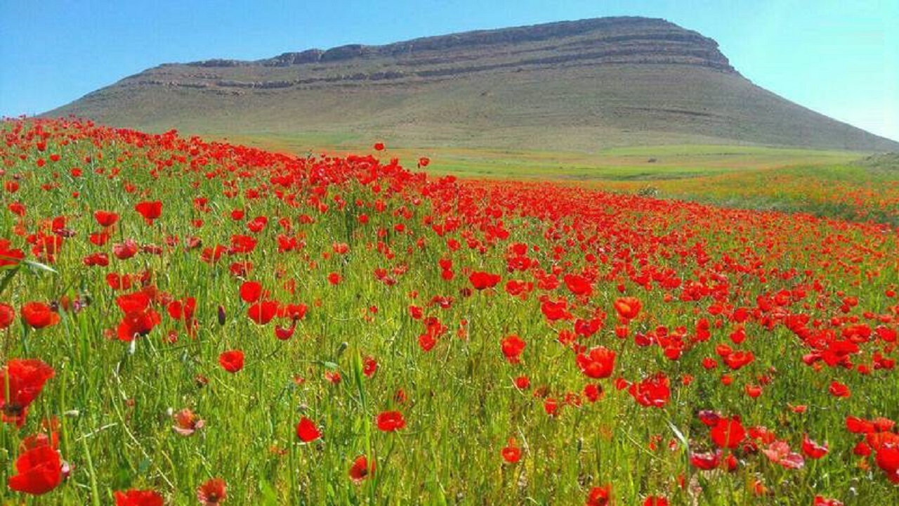 هوای استان مرکزی خنک‌تر می‌شود