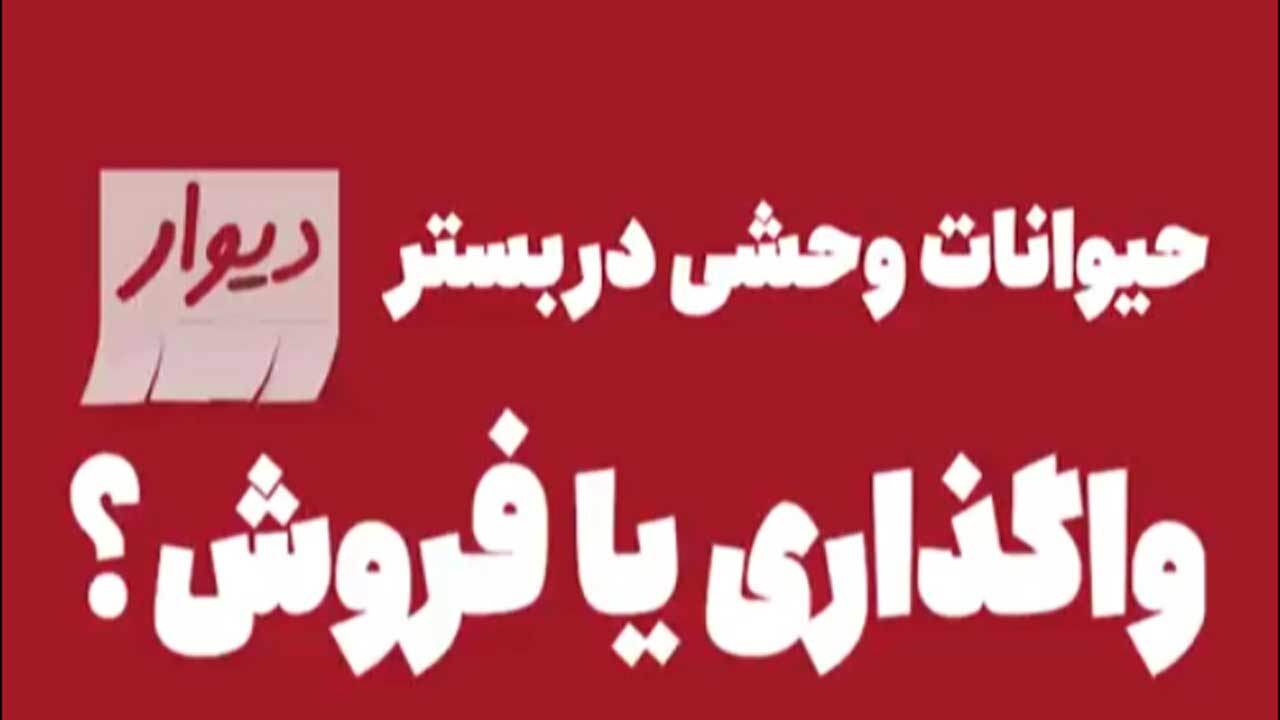 معامله حیوانات وحشی به اسم واگذاری در آگهی‌های دیوار + فیلم