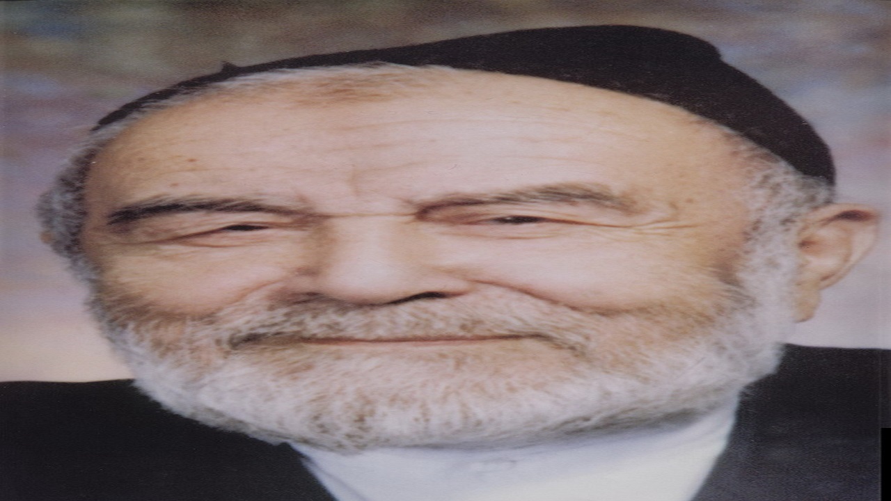 حرم امام حسین(ع)؛ حریم امن دلدادگان