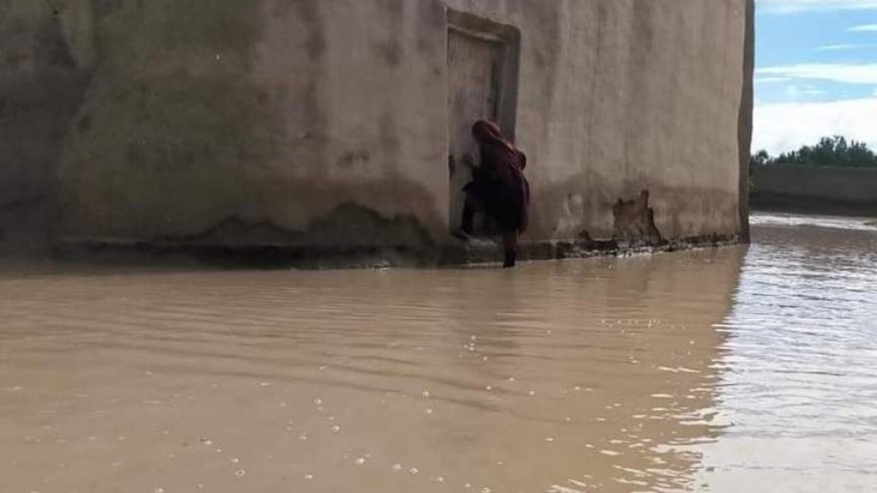 سیلاب در پکتیکا بیش از ۱۰۰ خانواده را در گل و لای گیر انداخته است