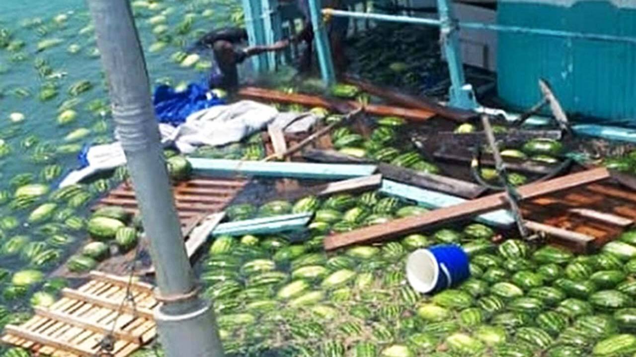 شناور شدن ده‌ها هندوانه در سیلاب! + فیلم