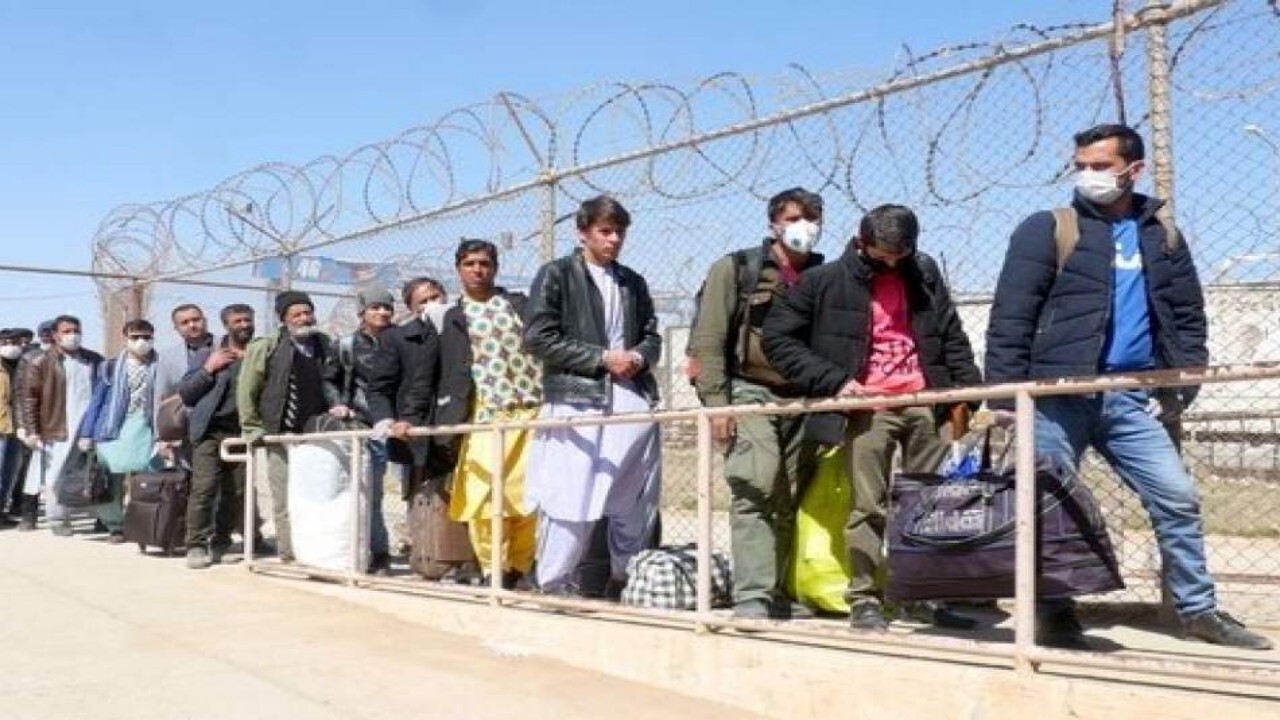 مهاجران بیشتر از تحمیل هزینه، به کشورها سود می‌رسانند