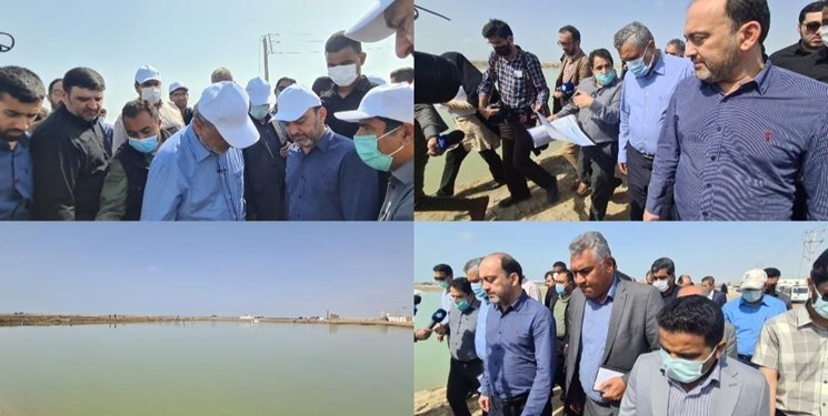 مزارع پرورش میگوی هرمزگان با حمایت دولت برق دار میشوند مزارع پرورش میگوی هرمزگان با حمایت دولت برق دار میشوند