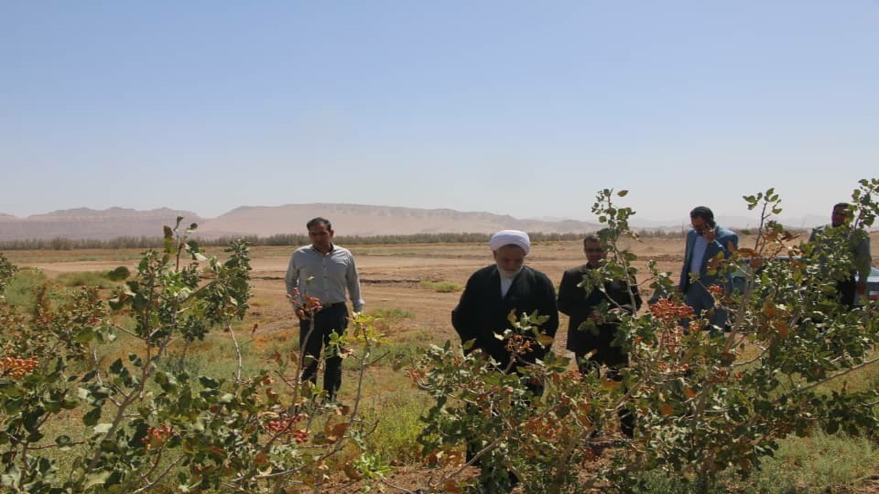 بررسی سیل بند‌ها و تامین آب کشاورزی شهرستان راور