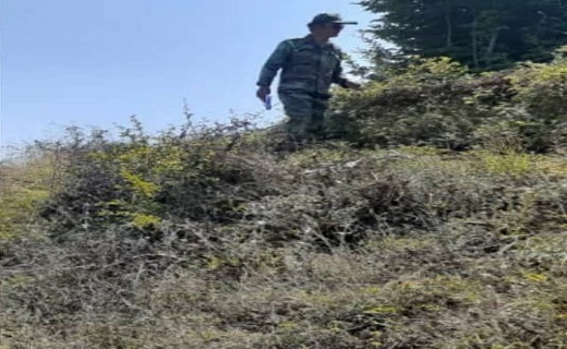 آزاد&zwnj;سازی حدود ۱۵ هزار مترمربع از اراضی ملی رودسر