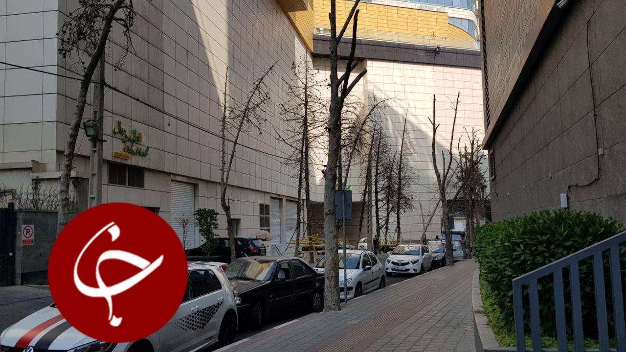 ٣٥ درختِ چنار، قربانى دیده شدن نمای دو مجتمع تجارى