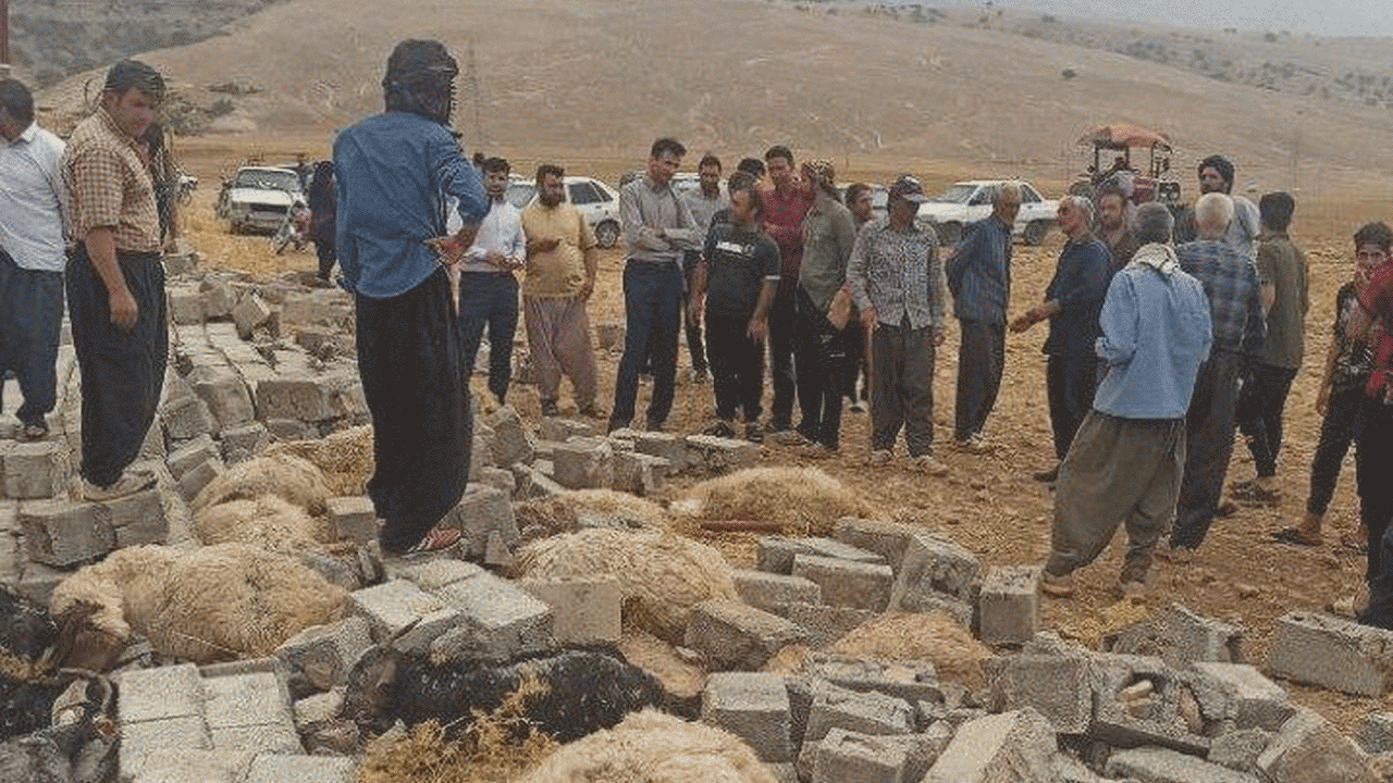 خسارت تندباد در شهرستان بدره ایلام + فیلم