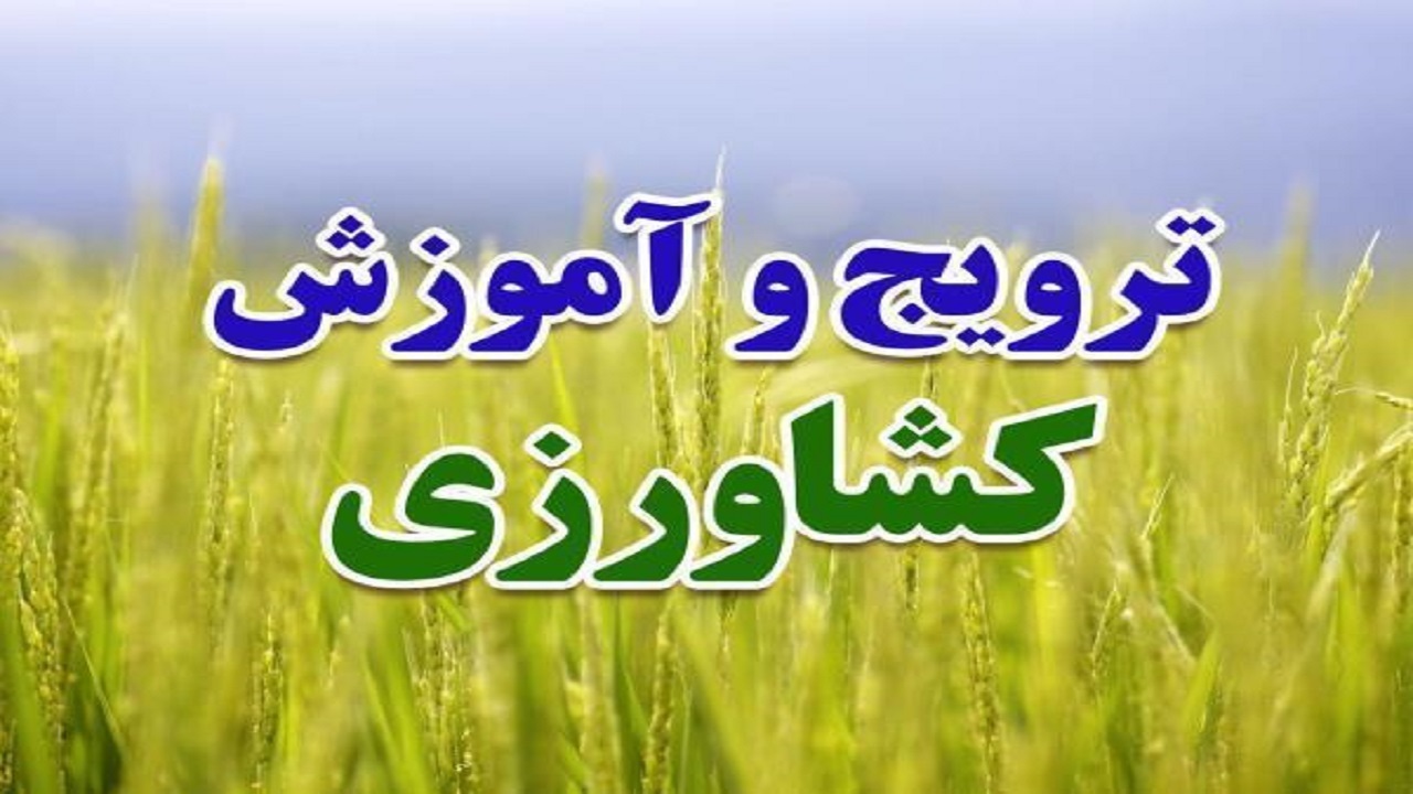 برگزاری کارگاه های آموزش کشاورزی در آبادان و خرمشهر