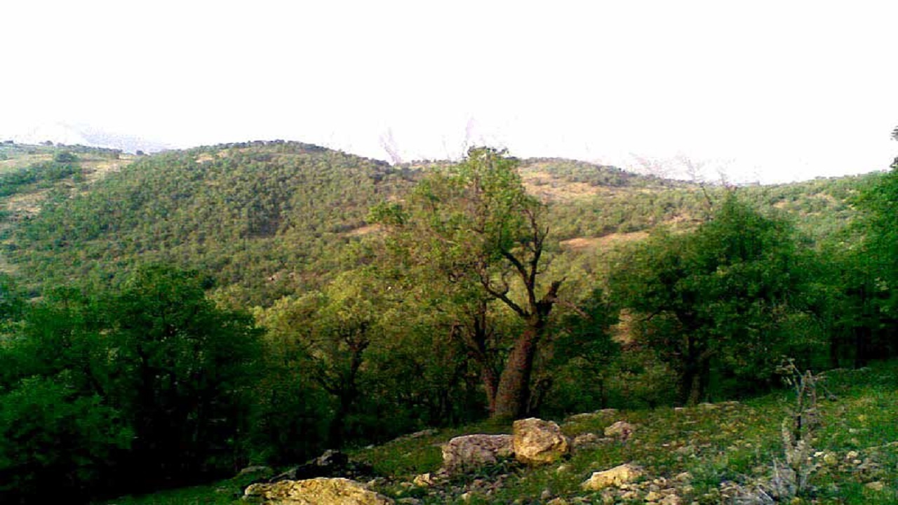 نمایی از طبیعت تابستان گهرو + فیلم