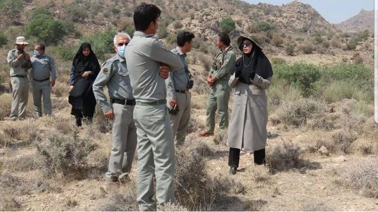 افزایش نرخ زاد و ولد برخی از گونه‌های حفاظت شده در یزد
