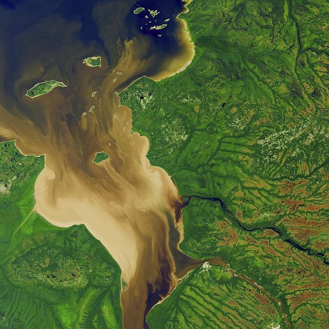Van Gogh from Space