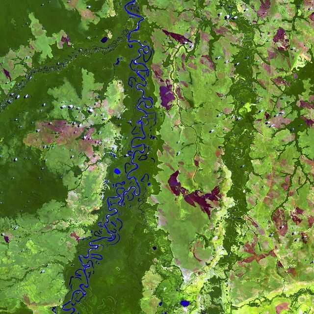 Oxbows in Bolivia