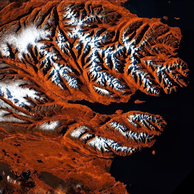  Icelandic Tiger