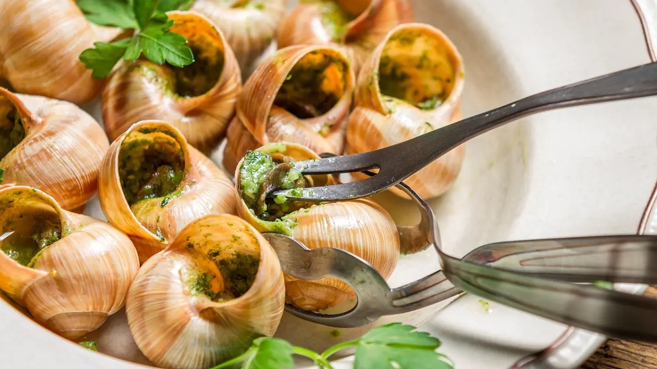ژن شما می‌گوید چه غذایی بخورید