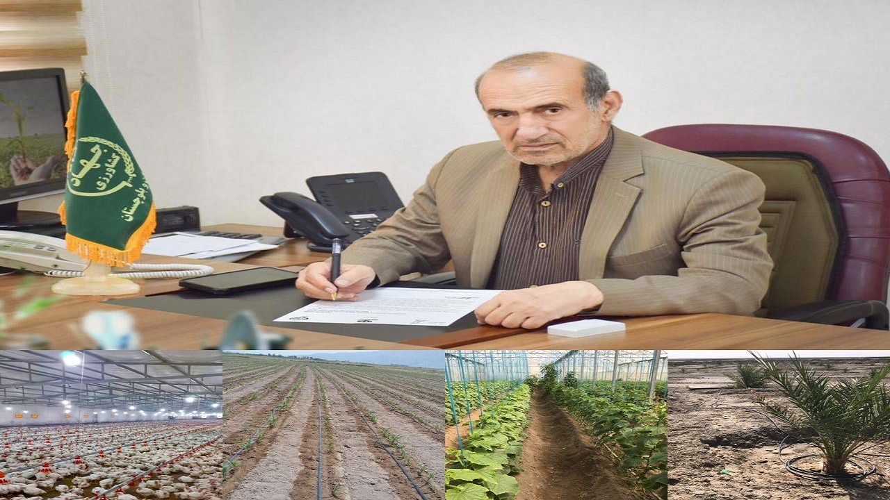 ١۸٢ پروژه بخش کشاورزی سیستان وبلوچستان در هفته دولت آماده افتتاح است