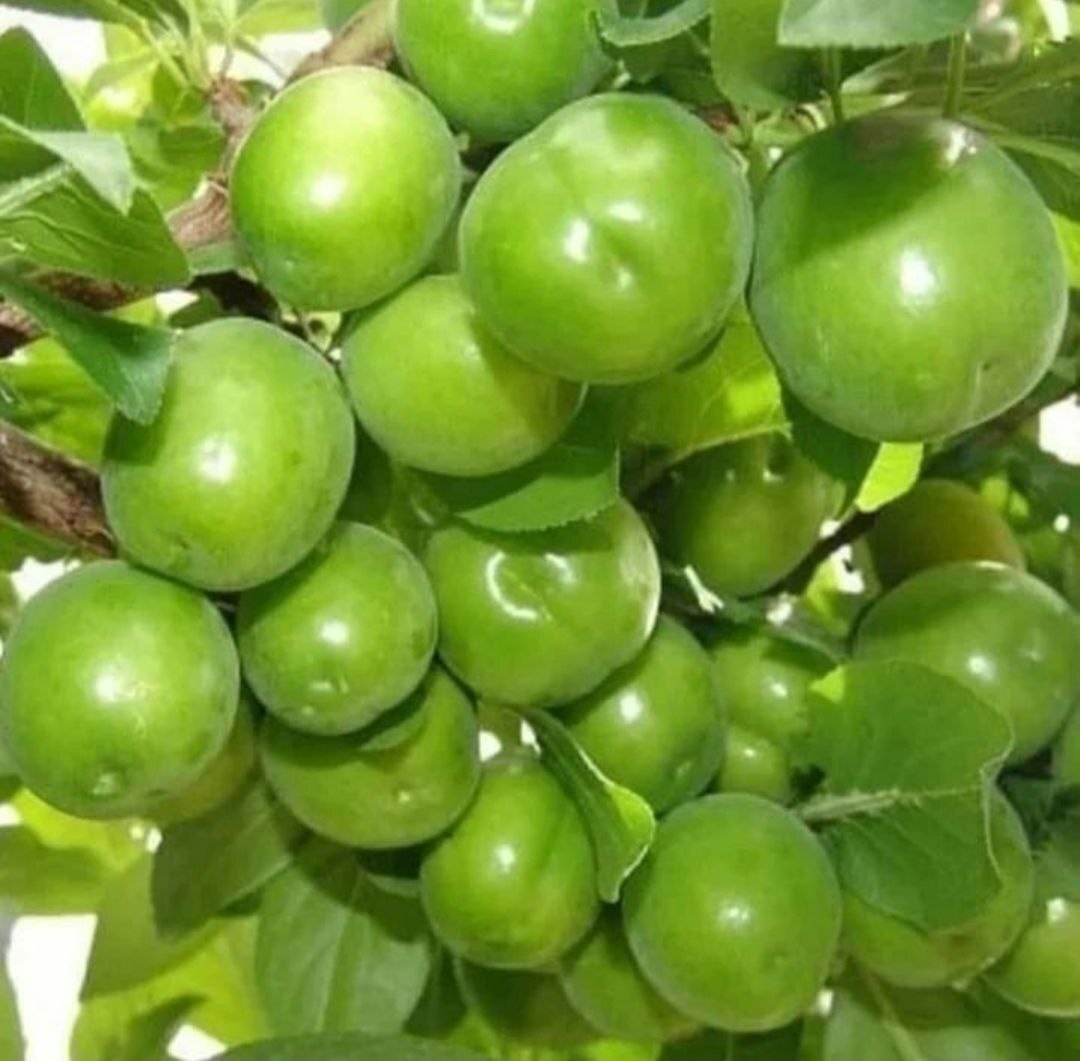 گوشه هایی از طبیعت نقاط مختلف کردستان به روایت تصاویر