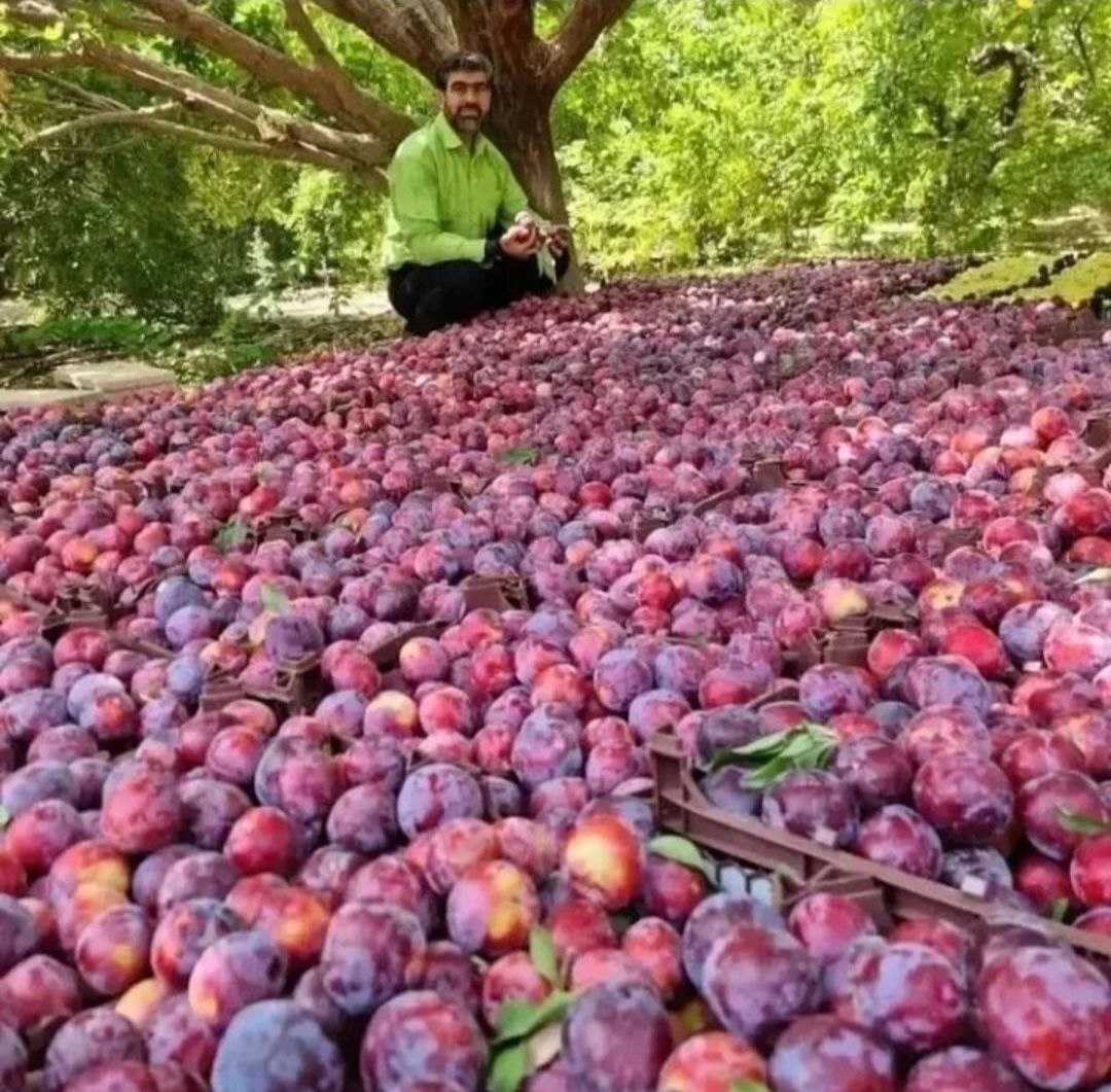 گوشه هایی از طبیعت نقاط مختلف کردستان به روایت تصاویر