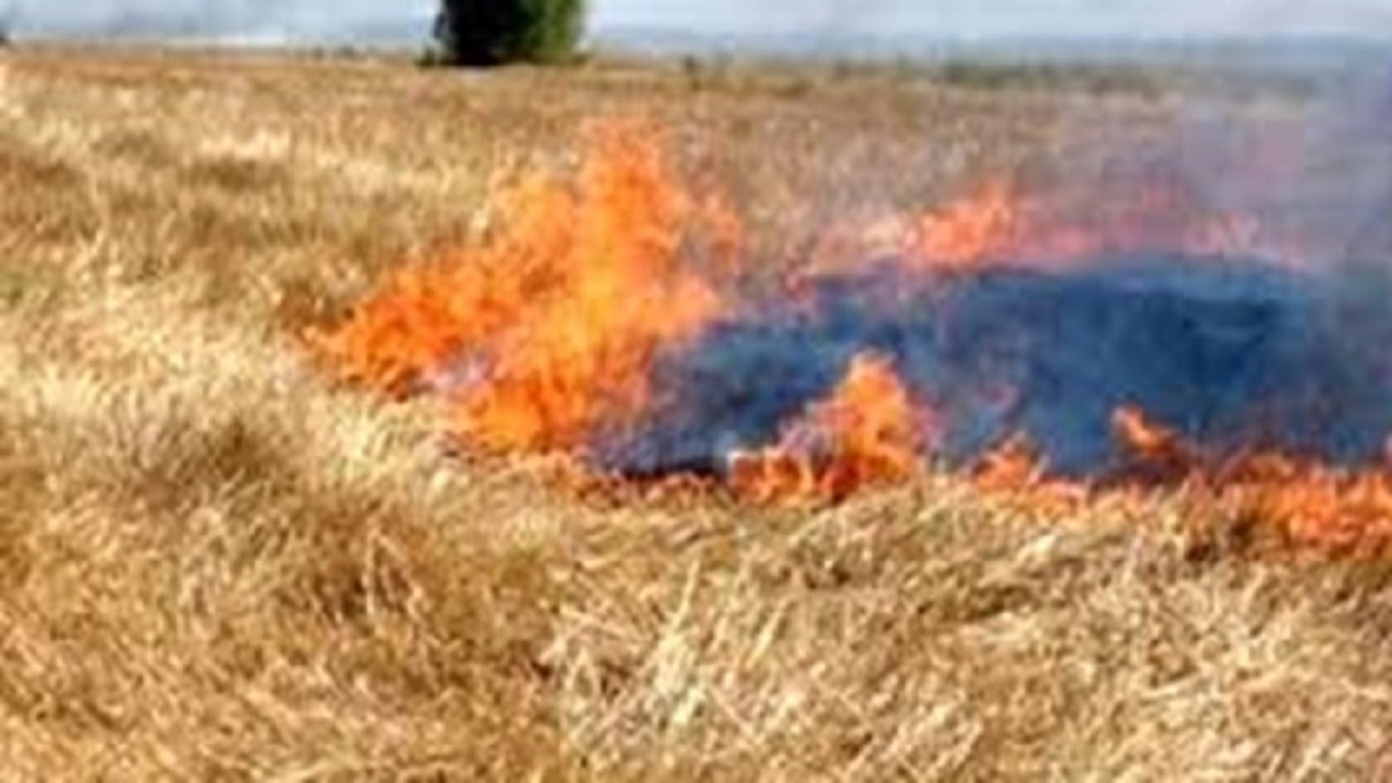 تخریب کننده محیط زیست در اردبیل به مراجع قضایی معرفی شد