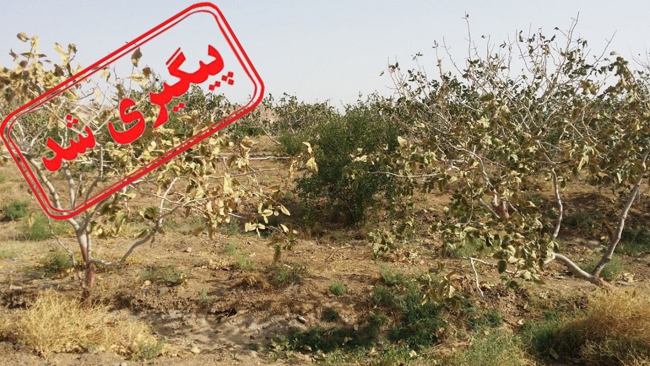 از