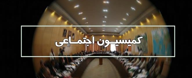بررسی طرح ساماندهی استخدام کارکنان دولت در کمیسیون اجتماعی مجلس