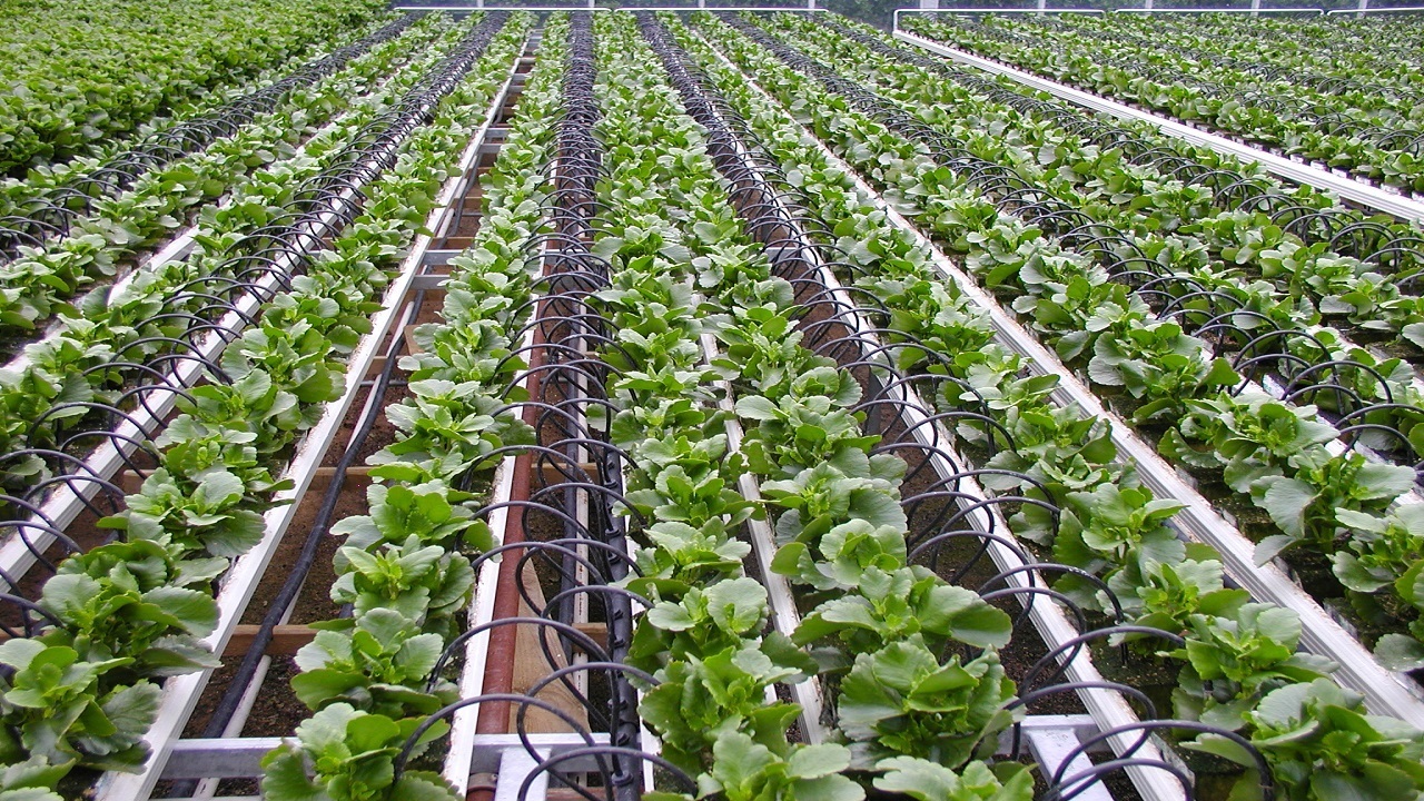 اجرای طرح آبیاری نوین در روستای سیدآباد هنزا