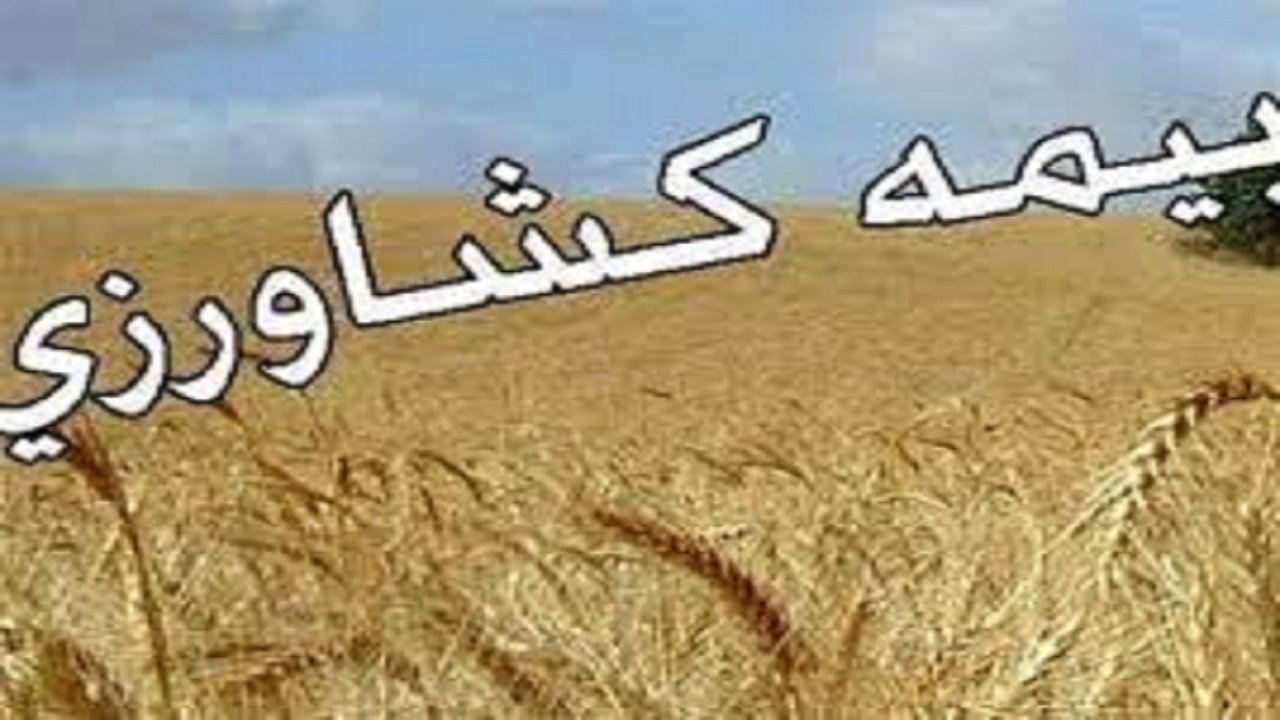 پوشش ۲۵ هزار همدانی در صندوق بیمه اجتماعی کشاورزان