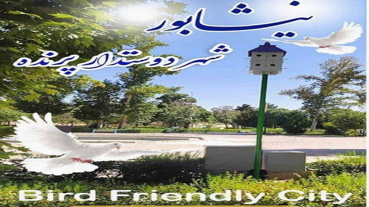 نیشابور؛ نخستین شهر دوستدار پرنده در ایران