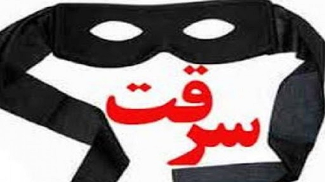 کشف ۱۴ فقره سرقت در طرح پاکسازی نقاط آلوده نظرآباد