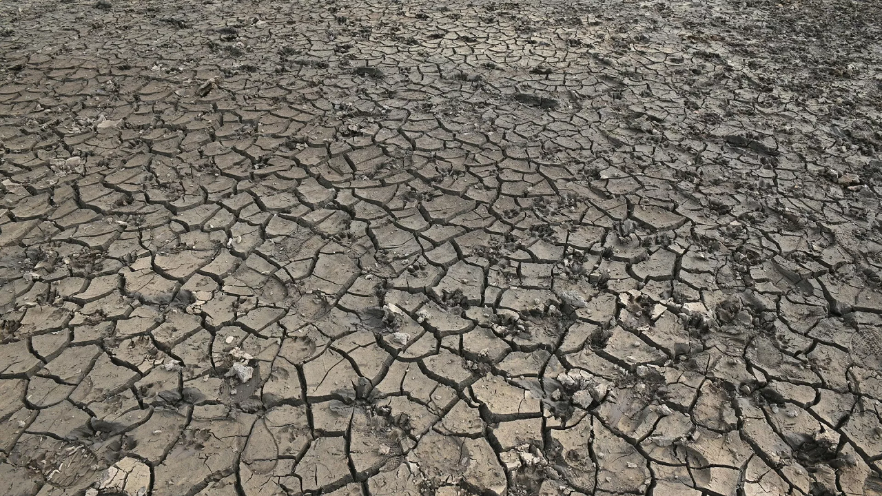 ثبت رکورد خشک‌ترین ژوئیه انگلیس در ۱۱۱ سال اخیر