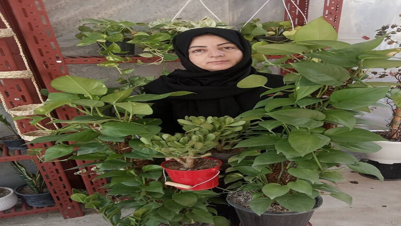 راز درآمد میلیونی بانوی‌ تهرانی