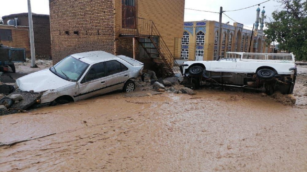سیل زردین کشته نداشت