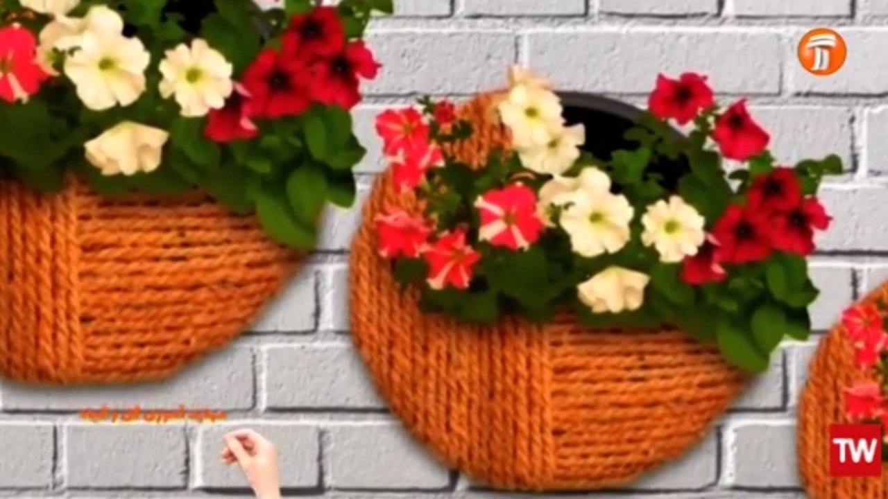 آموزش روشی متفاوت و خلاقانه برای کاشت گیاه + فیلم