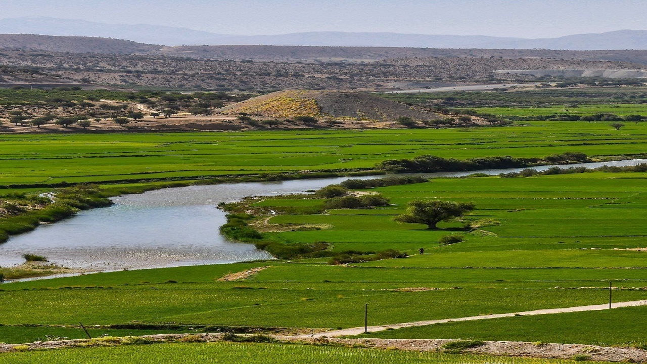 از