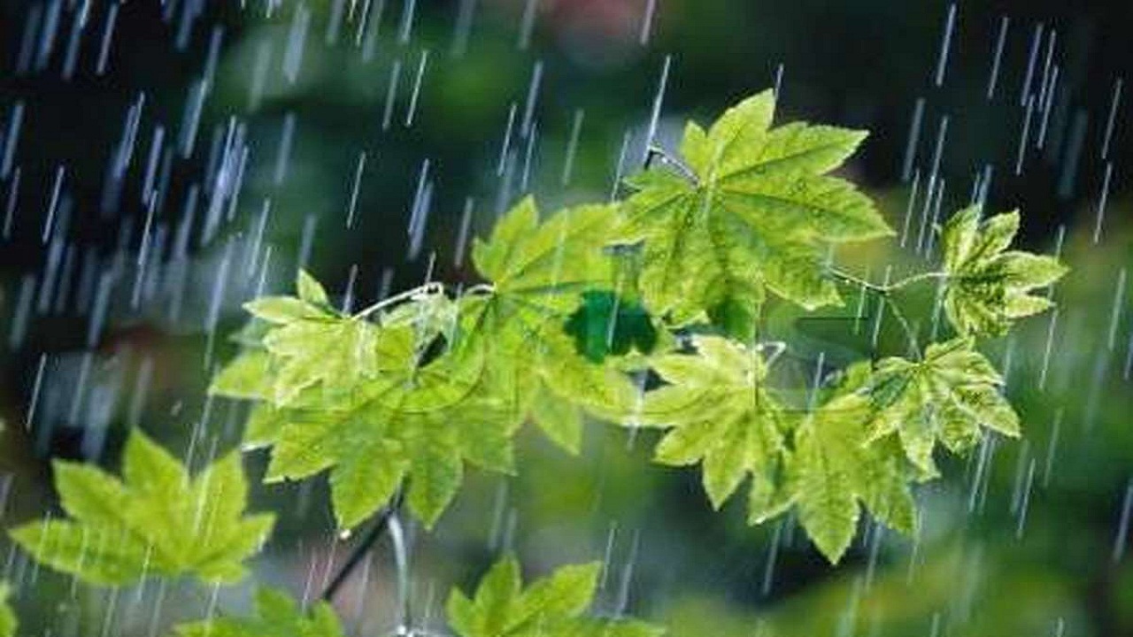 رگبار پراکنده باران در ۴۸ ساعت آینده