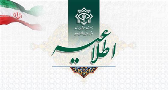 وزارت اطلاعات یک سوئدی را به اتهام جاسوسی، شناسایی و بازداشت کرد