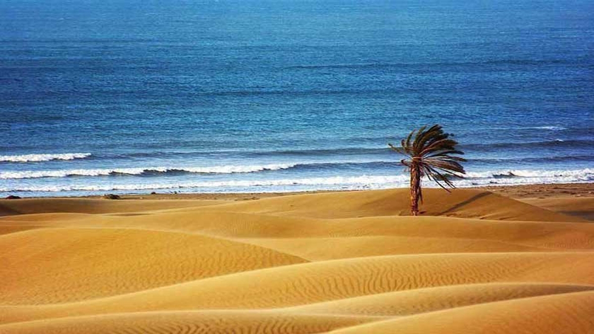 فیلمی از طبیعت زیبای تالش