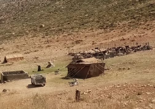 خشکسالی و گرانی علوفه تهدیدی برای عشایر فارس