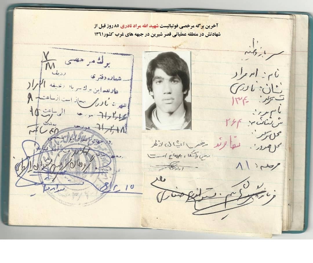 نادری شهیدی از جنس رسانه ملی