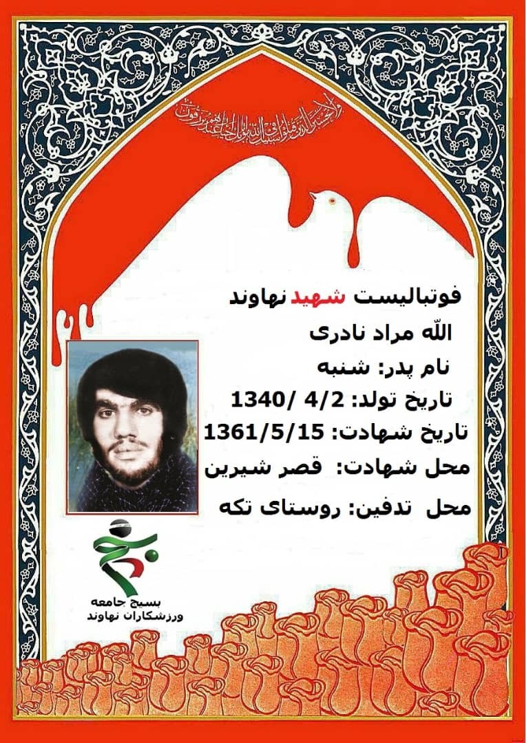 نادری شهیدی از جنس رسانه ملی
