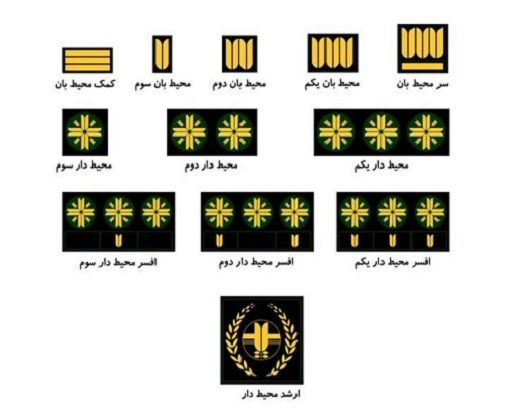 درجه محیطبانان 