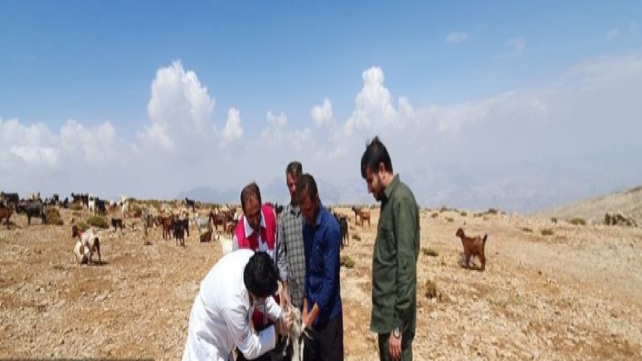 ضرورت امدادرسانی به عشایر کوه سیاه لنده