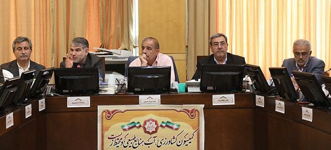 قول وزیر جهادکشاورزی برای پرداخت مطالبات گندمکاران و کلزاکاران تا هفته آینده