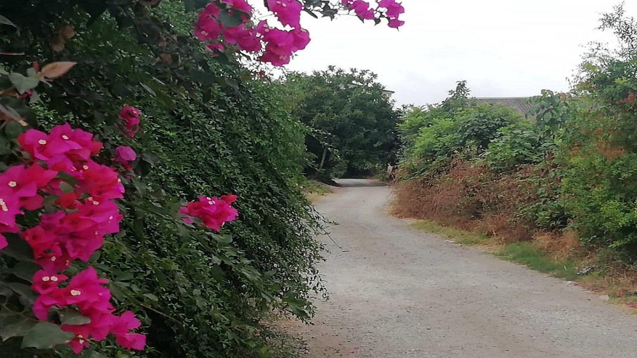 روستای صنم حاجیکلا، پیشنهادی به دوستداران طبیعت + تصاویر