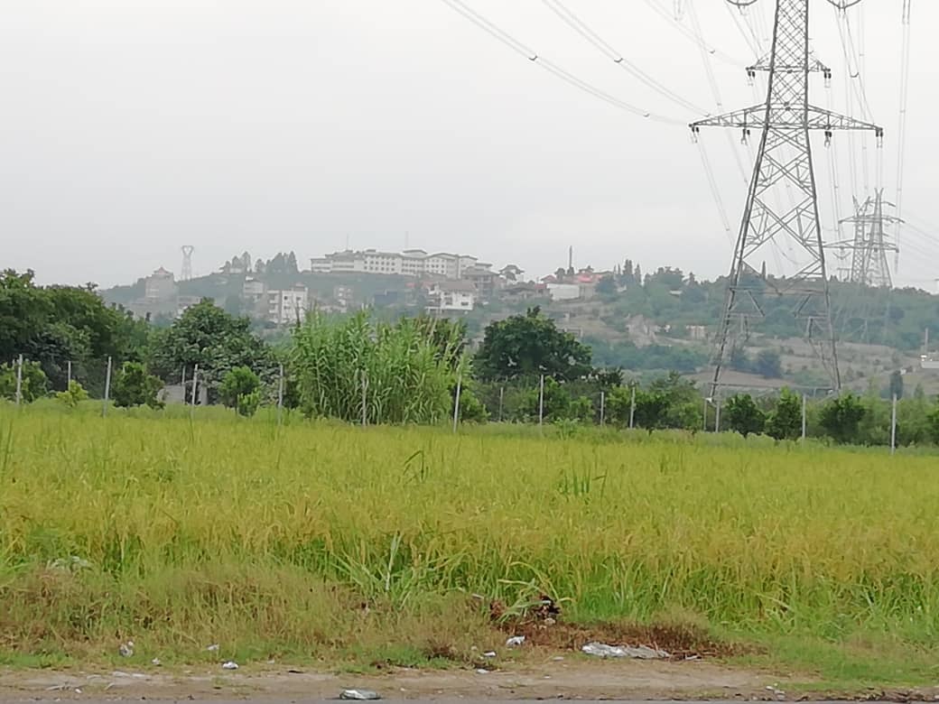 روستای صنم حاجیکلا، پیشنهادی به دوستداران طبیعت + تصاویر