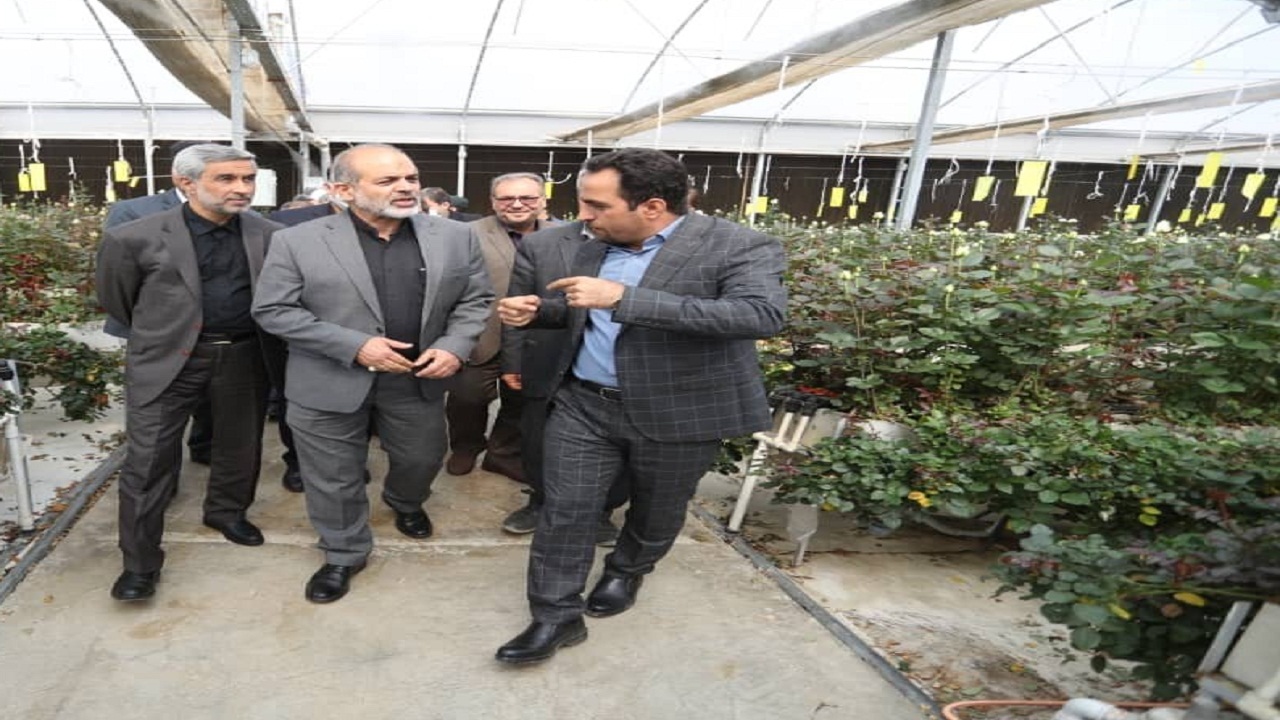 تاکید وزیر کشور بر توسعه کشت گلخانه‌ای