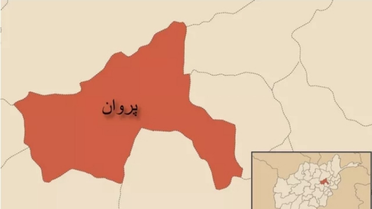 دزدان در پروان یک تازه داماد را کشتند