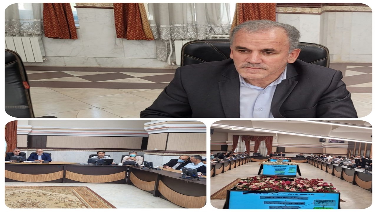 ۳۰۰هزار هکتار از اراضی کشاورزی کشور به زیر کشت کلزا می‌رود