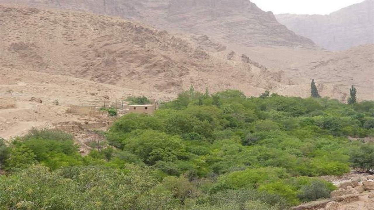 روستا‌هایی بی بدیل در دیار نخل و آفتاب، شهرستان بافق