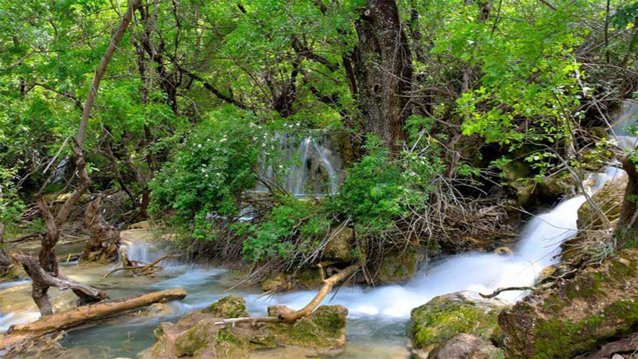 جنگل نای انگیز، بهشت واقعی لرستان